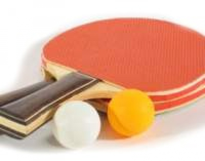 Tenis stolowy 2