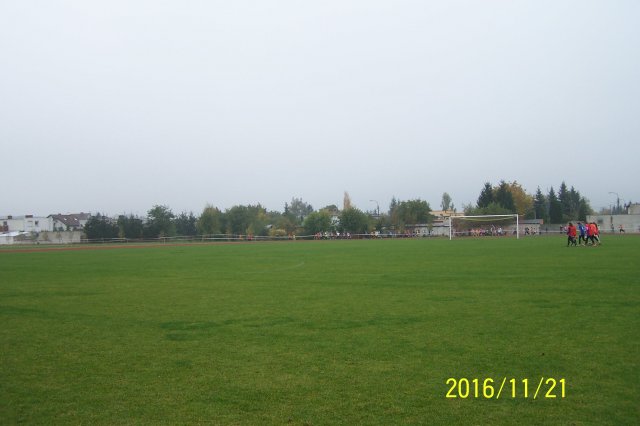 113_4007
