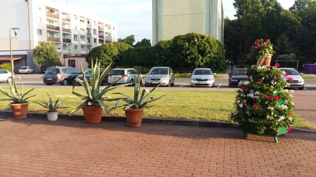 20170525_192650