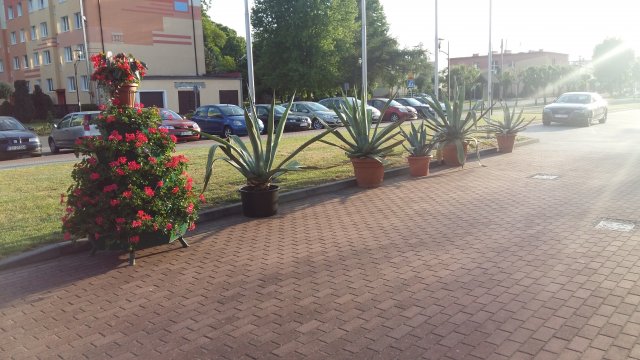 20170525_192659