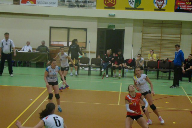 DSC-04730