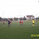 113_3772