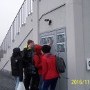 113_3956