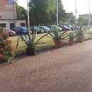 20170525_192659