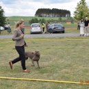 441163037_821924369958131_4421033895393943998_n