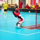 D3C_0739