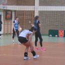DSC-04481