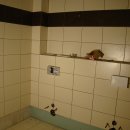 DSC00395