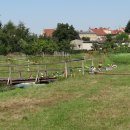 DSC01439